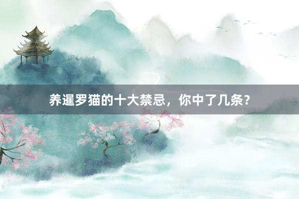 养暹罗猫的十大禁忌，你中了几条？