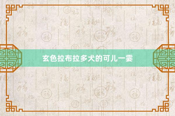玄色拉布拉多犬的可儿一霎